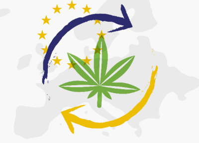 Article scientifique : la culture du cannabis en Europe