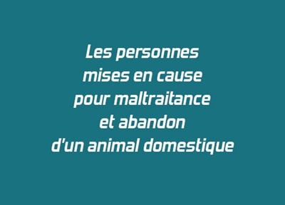 Publication de la Note n°48 sur les personnes mises en cause pour maltraitance et abandon d'un animal domestique