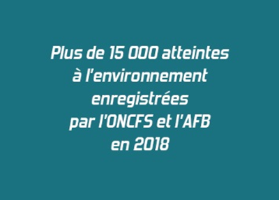 Publication du Flash'crim n°29 sur les atteintes à l'environnement enregistrées par l'ONCFS et l'AFB