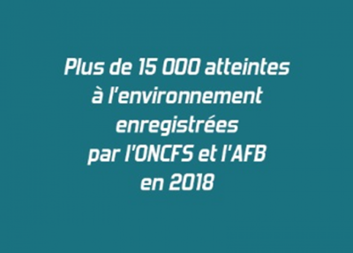 Publication du Flash'crim n°29 sur les atteintes à l'environnement enregistrées par l'ONCFS et l'AFB