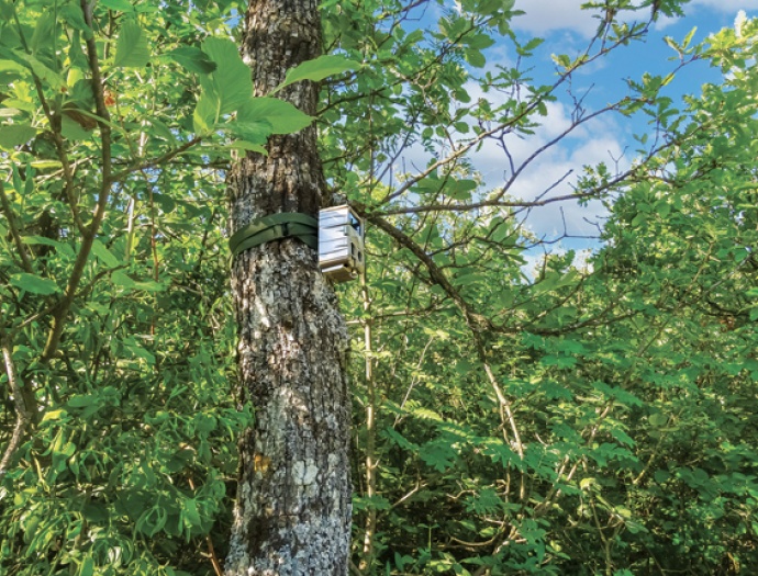 La sûreté forestière, entre enjeux privés et enjeux d’intérêt général, un concept au service de  la sécurisation des espaces forestiers