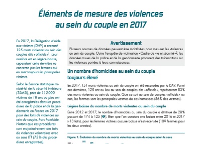 Éléments de mesure des violences au sein du couple en 2017
