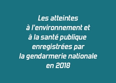 Les atteintes à l'environnement et à la santé publique enregistrées par la gendarmerie nationale en 2018