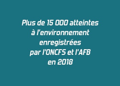 Plus de 15 000 atteintes à l'environnement enregistrées par l'ONCFS et l'AFB en 2018