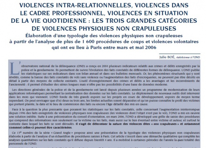 VIOLENCES INTRA-RELATIONNELLES, VIOLENCES DANS LE CADRE PROFESSIONNEL, VIOLENCES EN SITUATION DE LA VIE QUOTIDIENNE : LES TROIS GRANDES CATÉGORIES DE VIOLENCES PHYSIQUES NON CRAPULEUSES