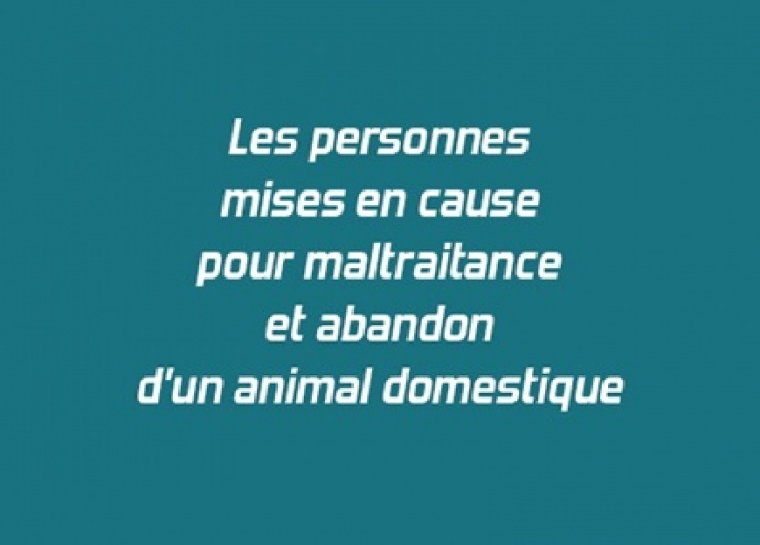 Les personnes mises en cause pour maltraitance et abandon d'un animal domestique