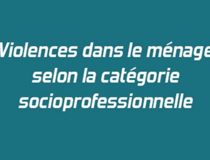 Violences dans le ménage selon la catégorie socioprofessionelle