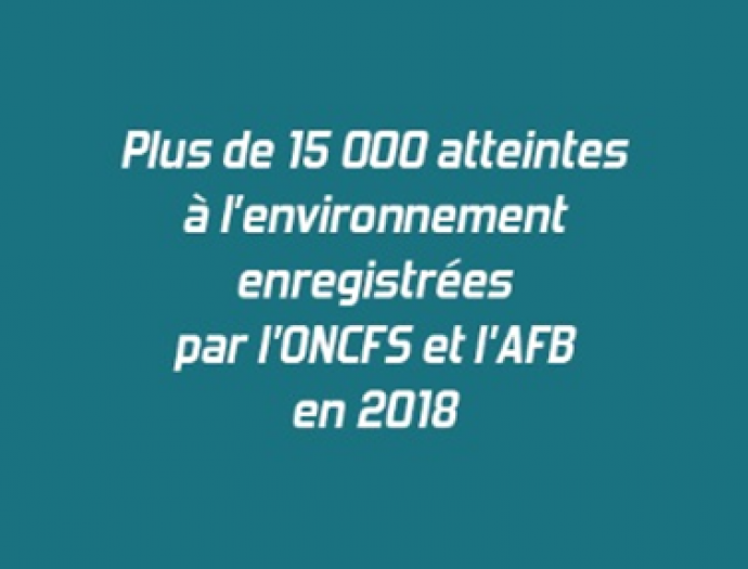 Plus de 15 000 atteintes à l'environnement enregistrées par l'ONCFS et l'AFB en 2018